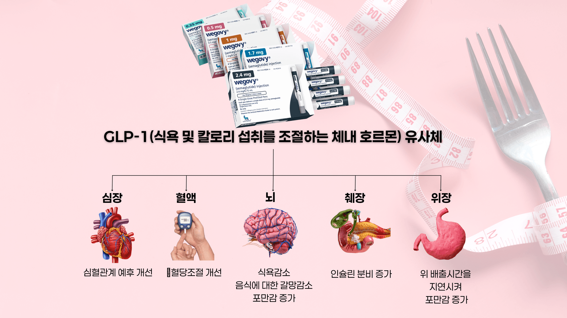 비만치료의 새로운 패러다임, 위고비 이미지 2