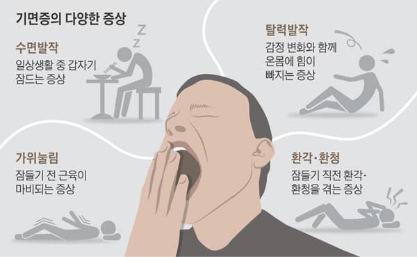 여름방학맞이, 기면증 검사 및 비용 안내